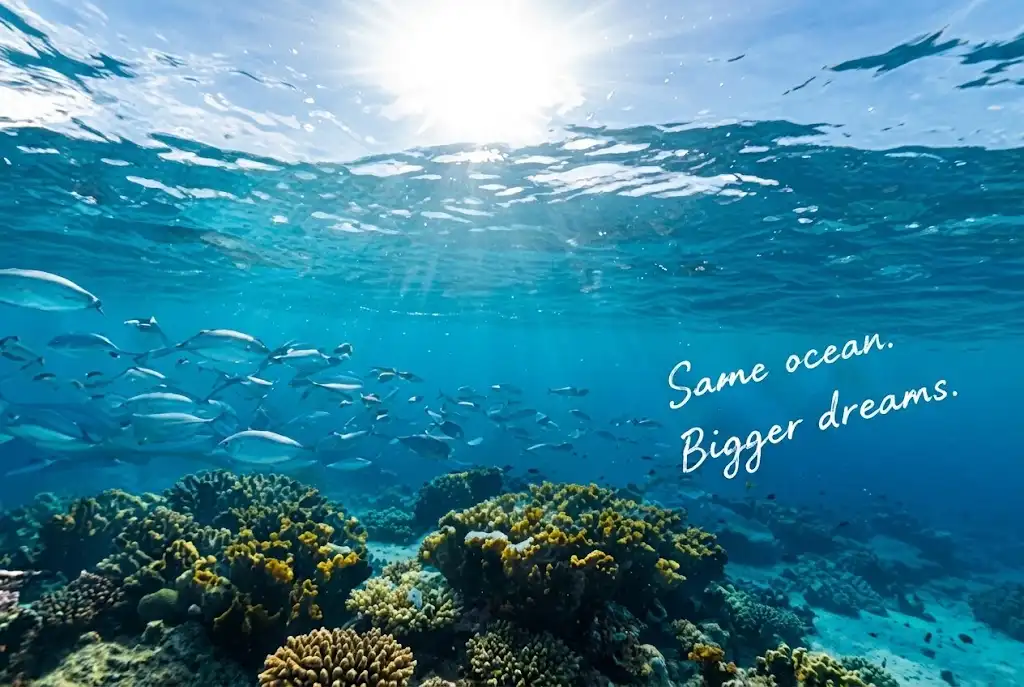 A school of fish above a coral reef