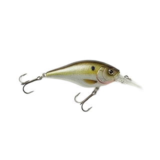 Lures & Baits