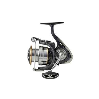 Reels